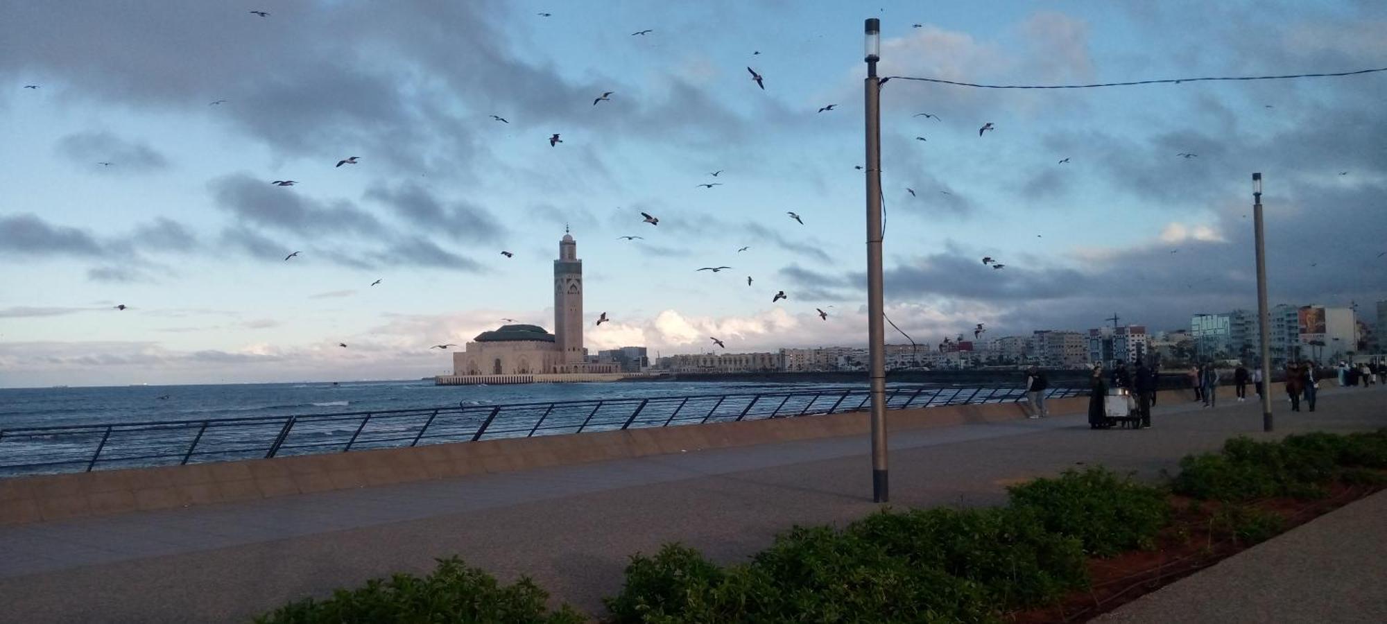Moroccan Teguemi Casablanca Esterno foto